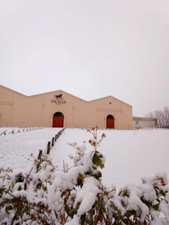 Posada La Celia Eugenio Bustos Bagian luar foto